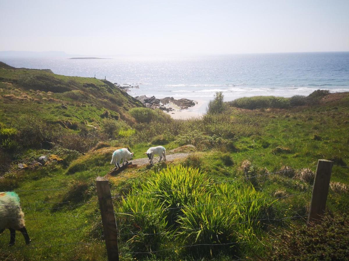 Anne'S Thatched Cottage Kilcar Luaran gambar